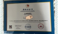 ac米兰官网-包含篮球教练分享心得，探讨训练方法的词条