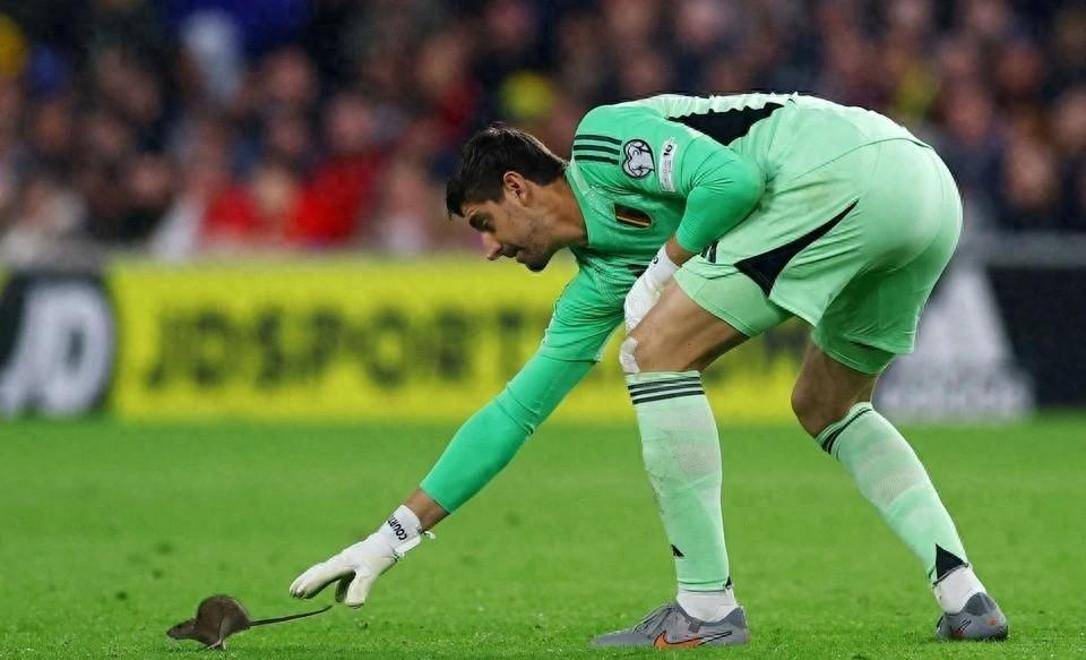 比利时击败威尔士，小组出线形势良好的简单介绍